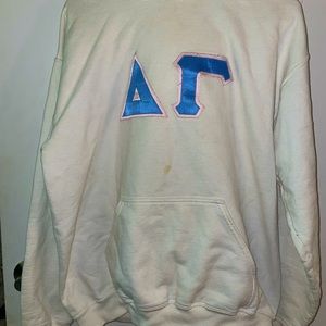 Delta Gamma Letters Hoodie